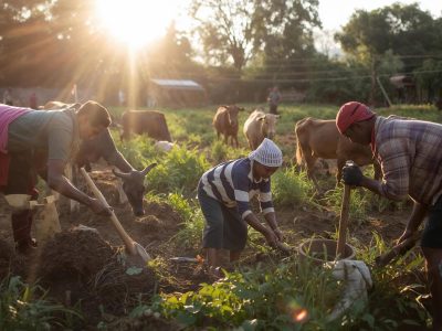 Rural livelihood suppport Rural livelihood suppport