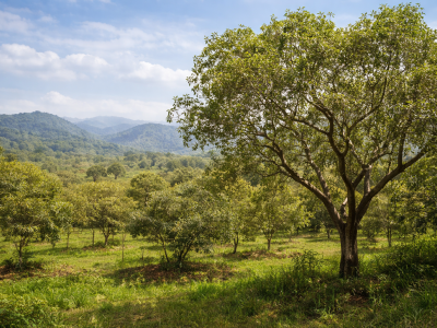 climate compatability